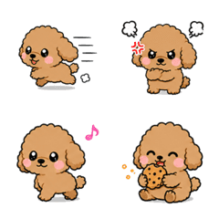 Cute Toy Poodle Emoji for Everyday