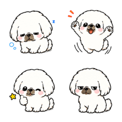 Fluffy White Pekingese Emoji