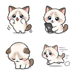 Ragdoll Cat Emoji for Everyday