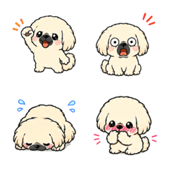 Cute Cream Pekingese Emoji