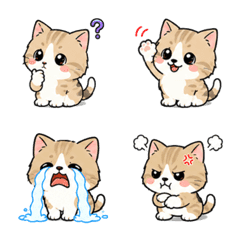 Cute Munchkin Kitty Emoji
