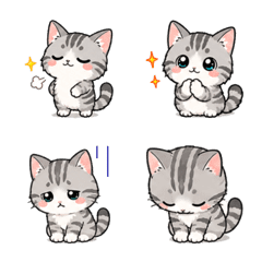 Cute American Shorthair Cat Emoji