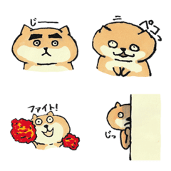 connyak brothers yoshida