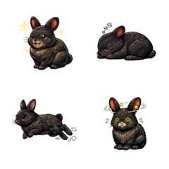 Amami Rabbit: Laugh, Sing & More