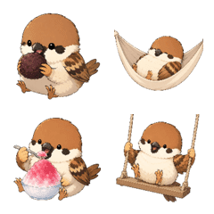 Cute Sparrow1