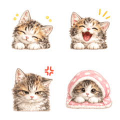 わさびちゃん