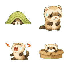 Soft Real Playful Ferret