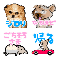 プリン＆マフィン２