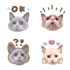 oru.emoji
