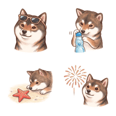 夏天來了！胡麻柴犬！