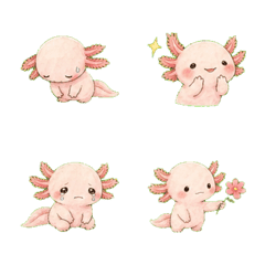 Soft Real Shy Axolotl