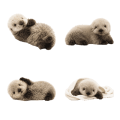 Happy Fluffy Baby Otter