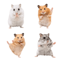 Hamster Emoji Pack