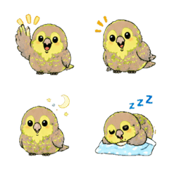kakapo Daily Emoji
