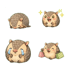 Soft Real Round Armadillo