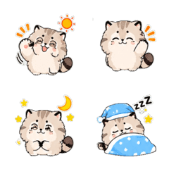Pampas cat Daily Emoji