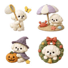 Puffy Maltese Seasons