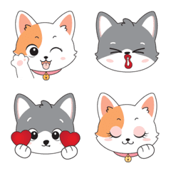 couple cat