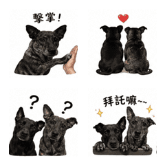 烏妮與豆干