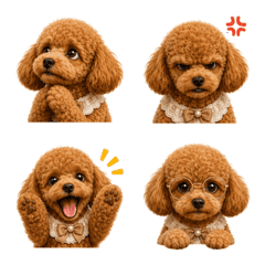 Bow Poodle Pops In