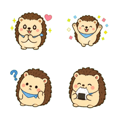 Haru Hedgehog Reactions