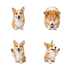 Cheerful Corgi Animated Emoji