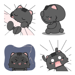 Black Cat : Animoji