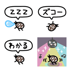 カツオブシムシだ！2
