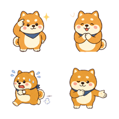 Maru柴犬日常反應