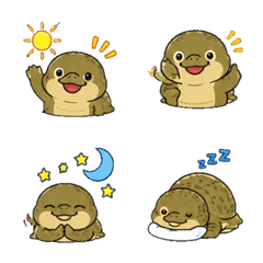 Pig-nosed turtle Daily Emoji