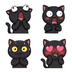 Black Beans 6 - Daily Expressions of