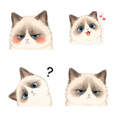 Baileys