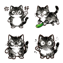 Sumi-e Ink Cat: Obon & Summer Heat