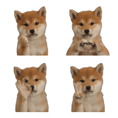 ai-Emoji  (Character ) 307