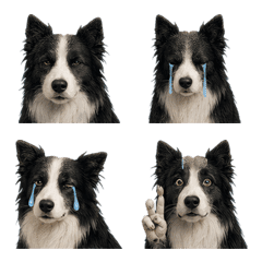 ai-Emoji  (Character ) 325