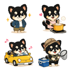 Daily Life of a Small Cute Chihuahua