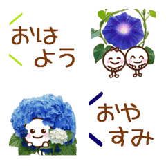 A round white baby and cute flowers