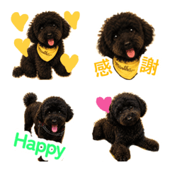 黒トイプーの絵文字