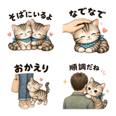 Everyday American Shorthair Emoji