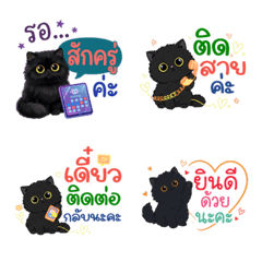 Cute Black Cat Office Work