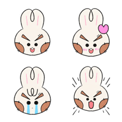Kookie newborn
