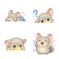 Fluffy Chinchilla Notes