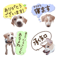 かわいいわんこ絵文字2