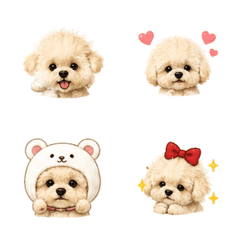 ふわもこ犬　トイプちゃん