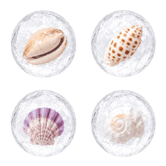 "Bead" Plump-Glass Bead-Seashell