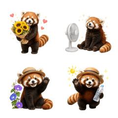 Summer! Red panda