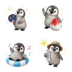 Summer! Baby penguin