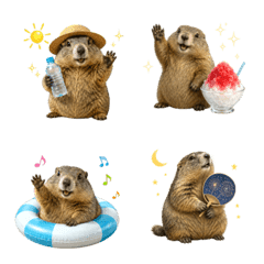 Summer! Marmot