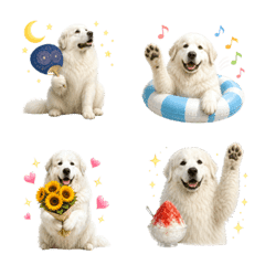 Summer! Great Pyrenees