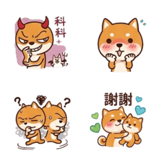 Shiba Inu is so cute B1